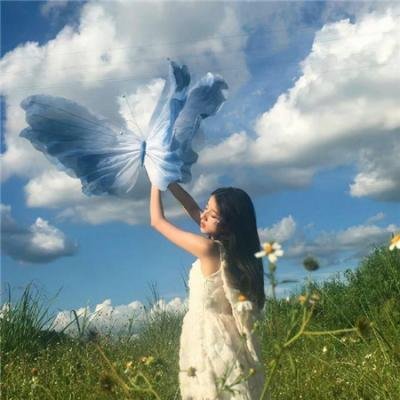 虫图腾